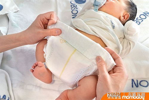 新生儿照护指南 掌握洗澡与哺乳重点，新手父母快速升级育儿达人