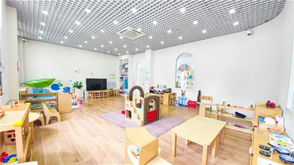 聚焦0-3岁婴幼儿照护服务，共筑科学育儿新生态——上海研讨会圆满召开